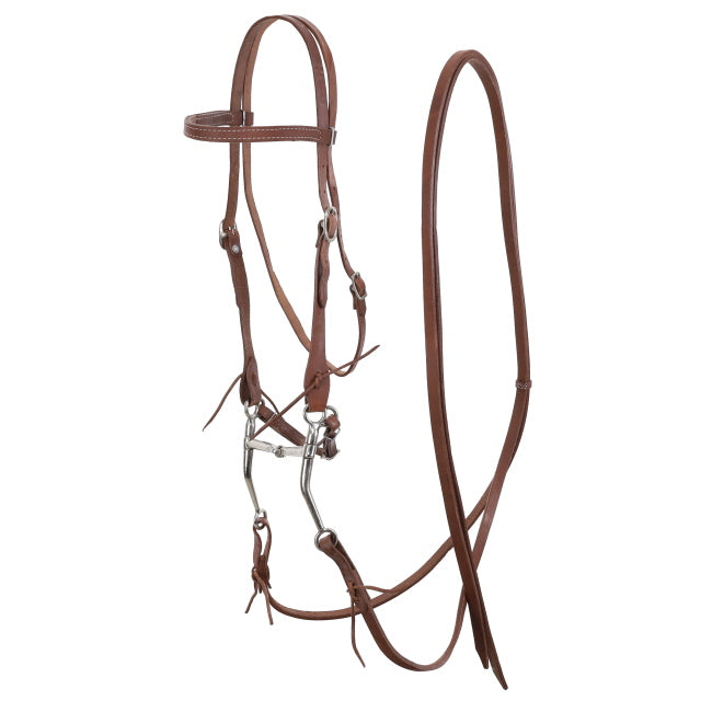 Showman Argentina Cow Leather horse bridle with reins and long shank tom thumb bit Tack Shiloh