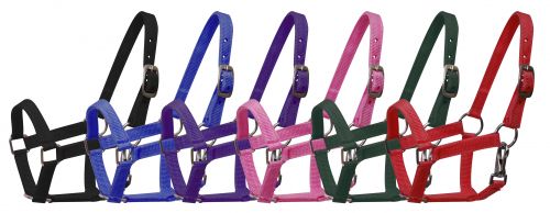 5946P Pony Nylon Halter Double C Western Supply