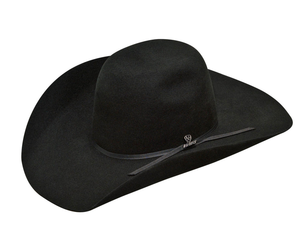 ARIAT 2X WOOL HAT PUNCHY CROWN WESTERN HAT Hats M&F