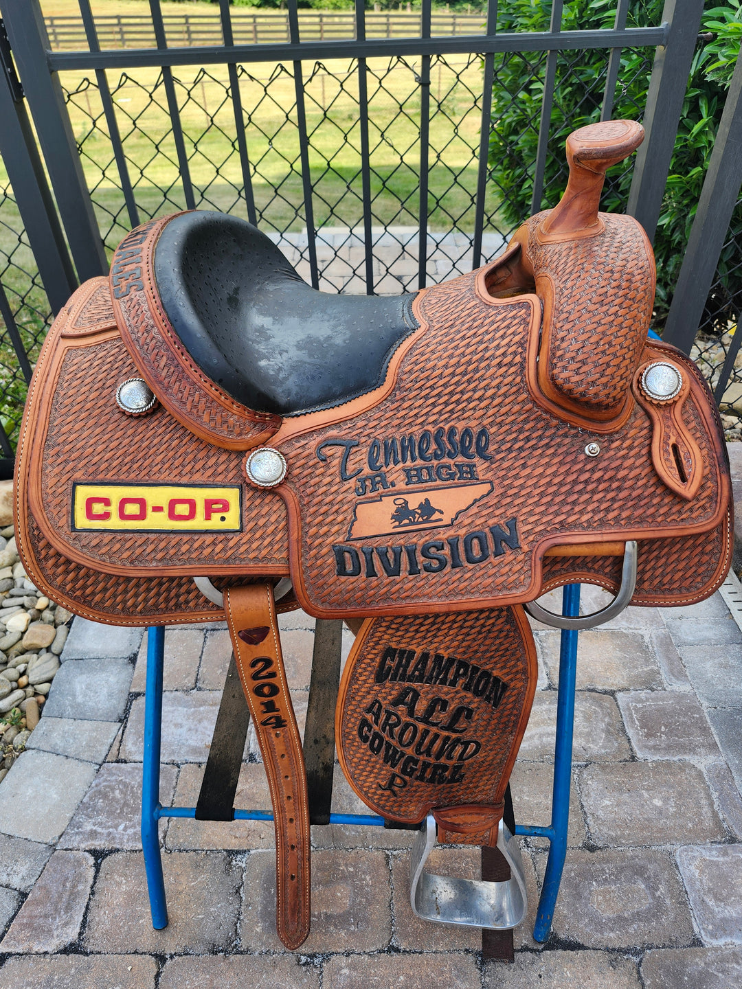 15" 2014 Running P Roping Trophy Saddle – Ostrich Seat Saddle Running P