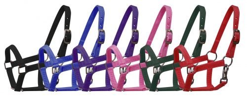 5946P Pony Nylon Halter - Double C Western SupplyDouble C Western Supply