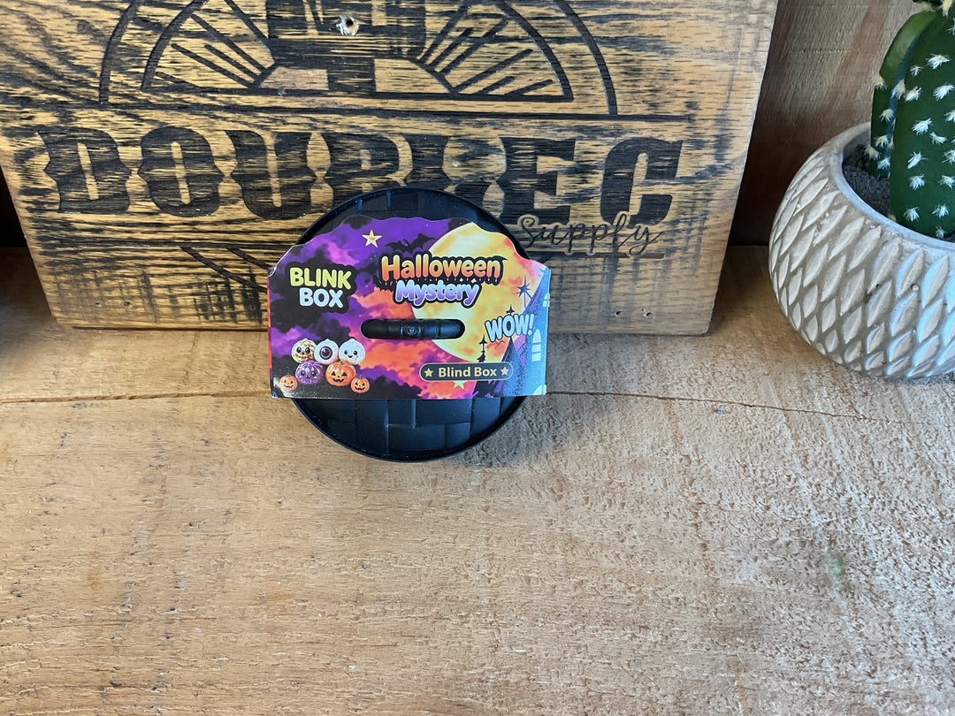 Halloween Dumpling Mystery Blind Box (Dupe)