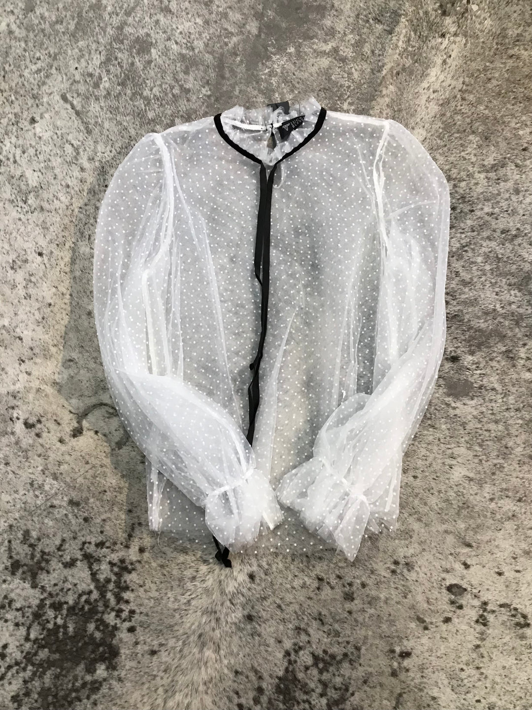 Ivory Elastic Dotted Sheer Mesh Puff Long Sleeve W Neck Tie Tops feminine western ivory blouse neck tie puff sleeve sheer mesh Lucky &amp; Blessed