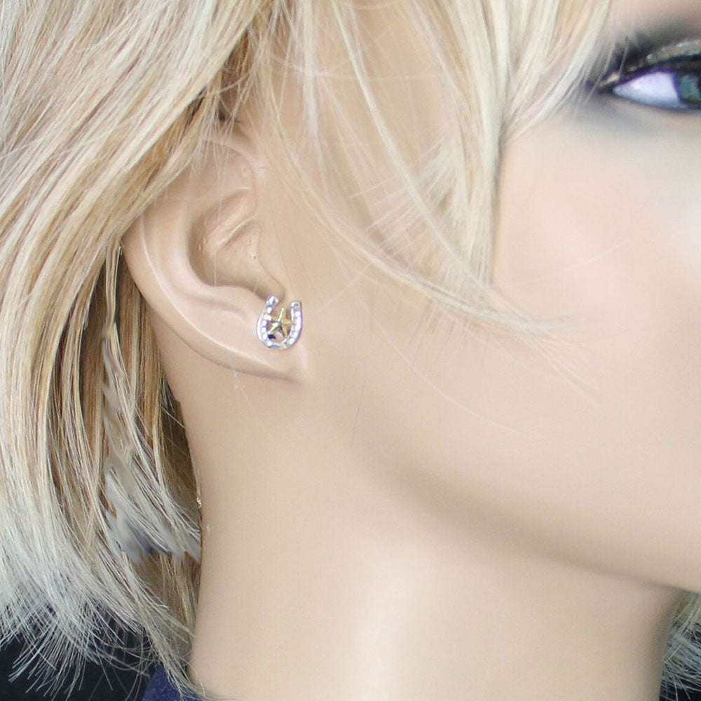 Small Stars & Horseshoe Post Earrings ER803 Earrings Montana Silversmiths