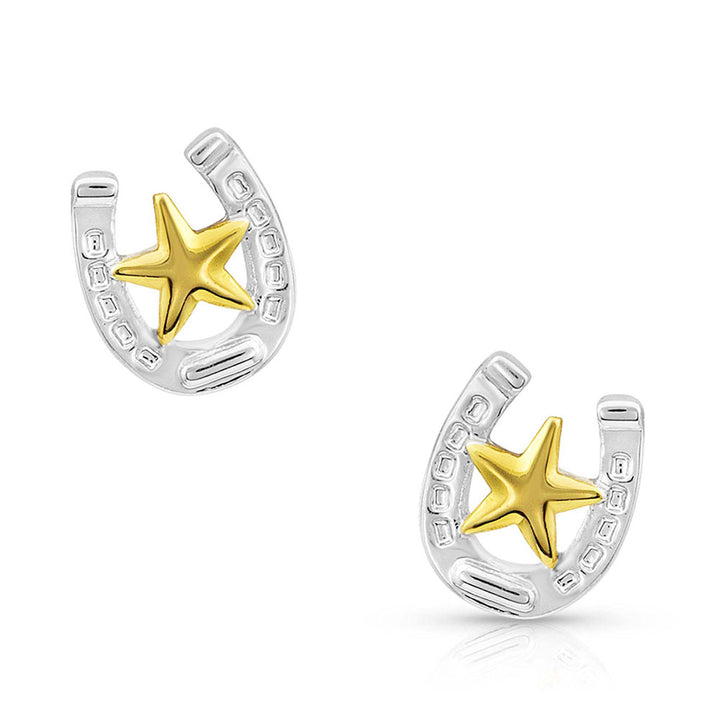 Small Stars & Horseshoe Post Earrings ER803 Earrings Montana Silversmiths
