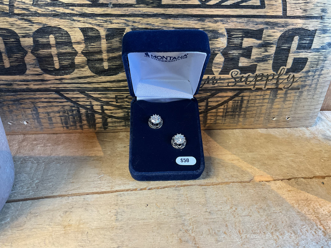 Montana Silversmiths Lucky Water Horseshoe Post Earrings - ER3561 Earrings Women's Montana Silversmiths