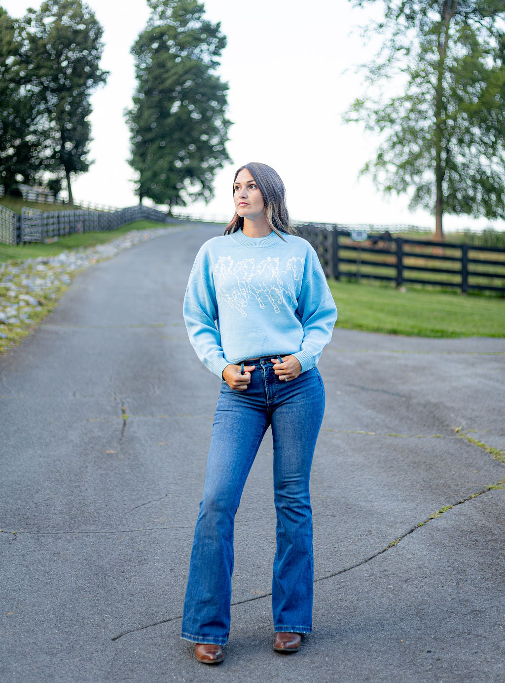 Wrangler Retro® Americana Sweater Crew - Blue - 112382589 Sweater Long Sleeve Sweater Women&
