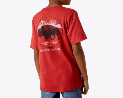 Youth Ariat Patriot Buffalo Coin T-Shirt Brick Red - 10062407 Boys Shirt ARIATKIDS Ariat