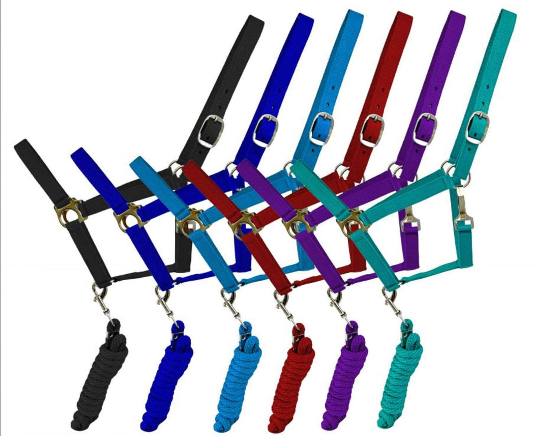 adjustable nylon halter - Double C Western Supplyshiloh