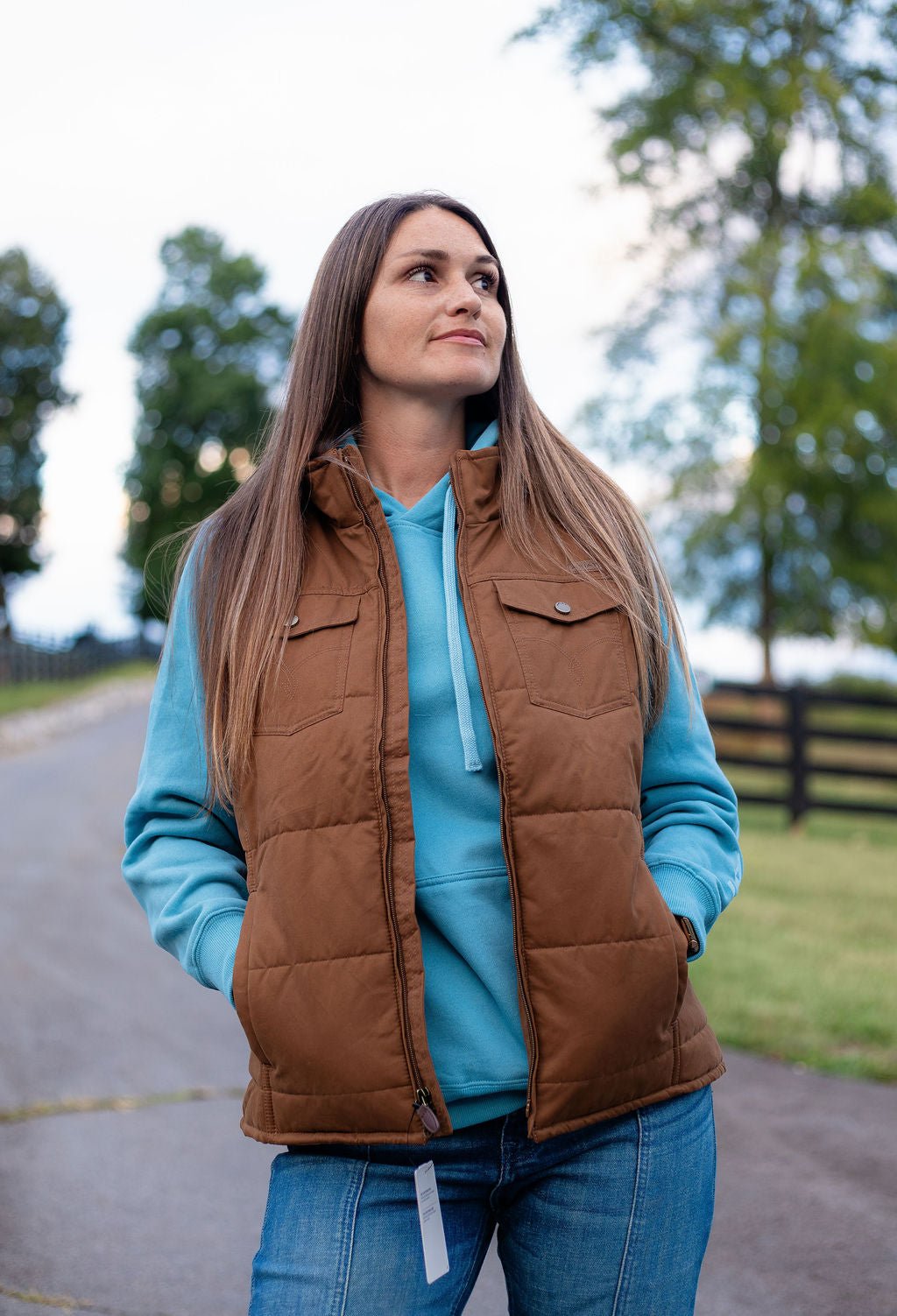 Ariat Ladies Dachshund Grizzly Quilted Vest 10079655 - Double C Western SupplyAriat
