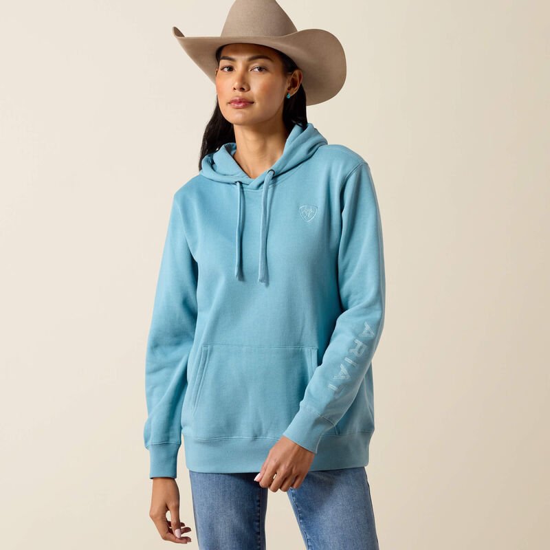 Ariat Women's Logo 2.0 Hoodie 10079565 - Double C Western SupplyAriat