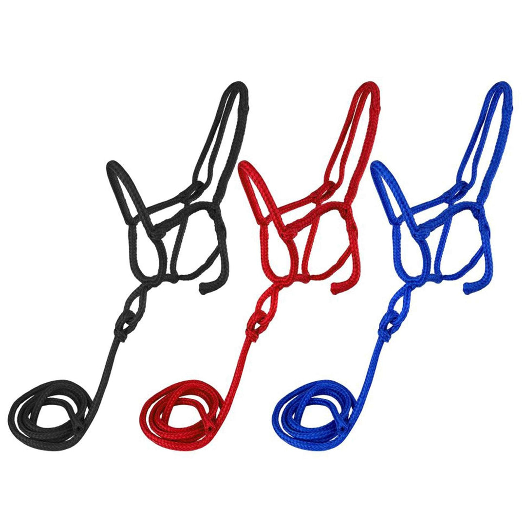 Average Horse Size Nylon Rope Shipping Halter With 7 1/2&