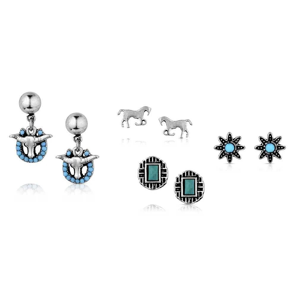 Everyday Western Post Earring Set AER6243 - Double C Western SupplyMontana Silversmiths