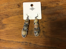 Load image into Gallery viewer, Western Concho Multi Shape Earrings
