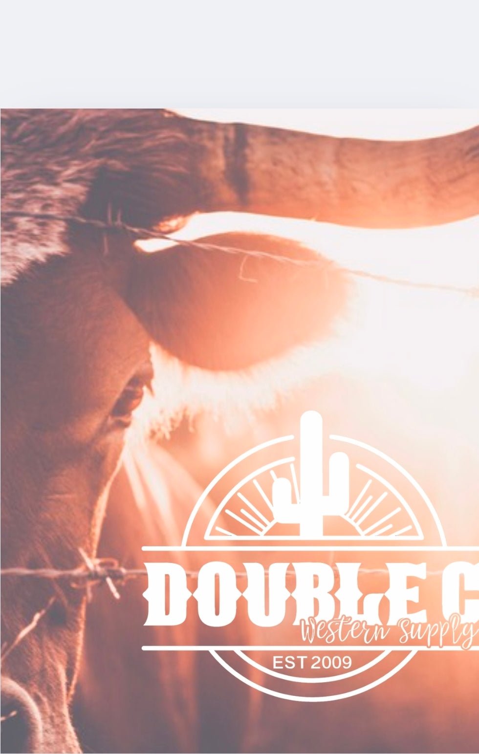 Longhorn Air Freshener - Open Range New Ride - Double C Western SupplyDouble C Western Supply