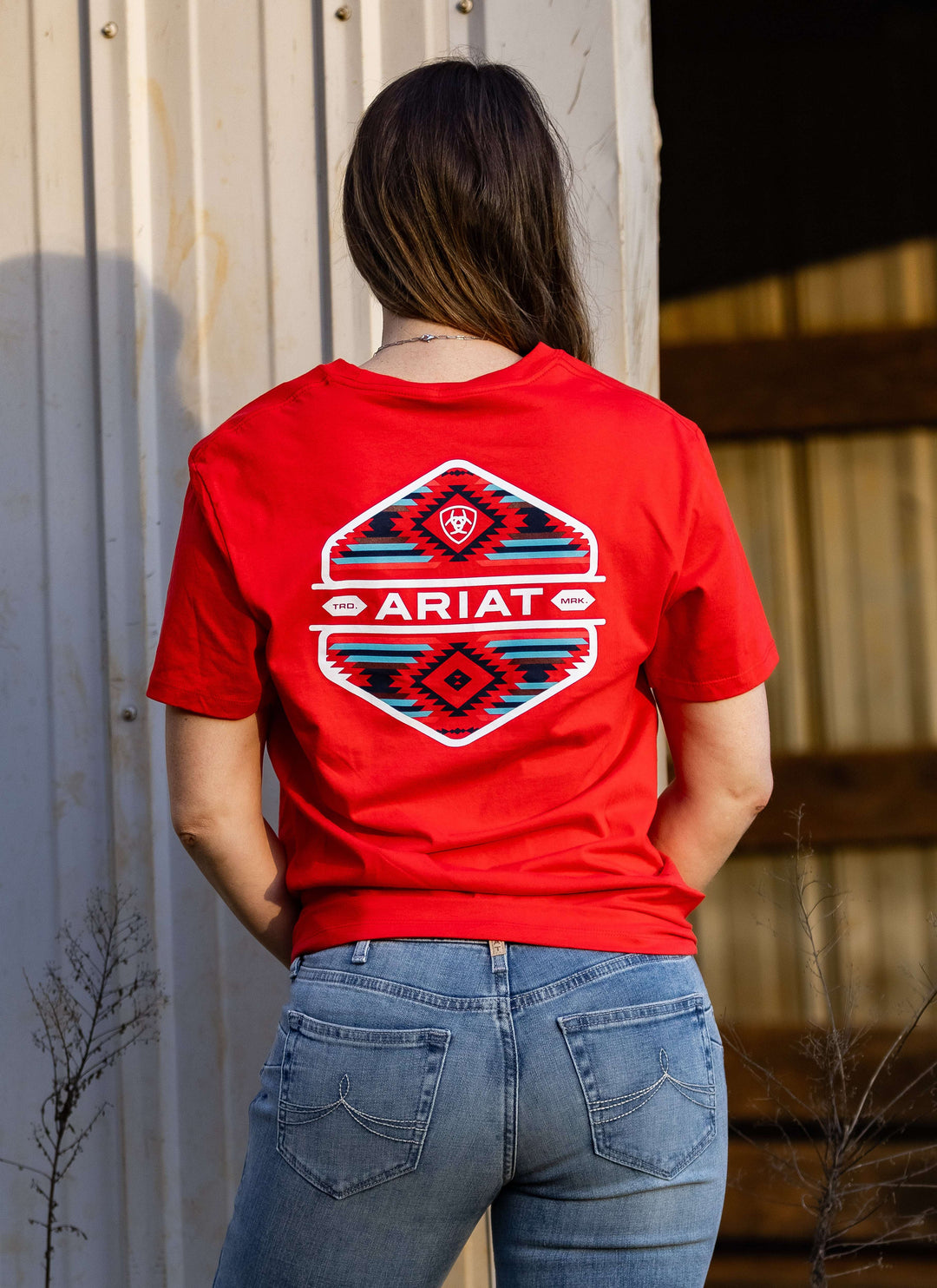 Men's Ariat Chinelos Hex Classic Fit T-Shirt in Mars Red 10054352 - Double C Western SupplyAriat