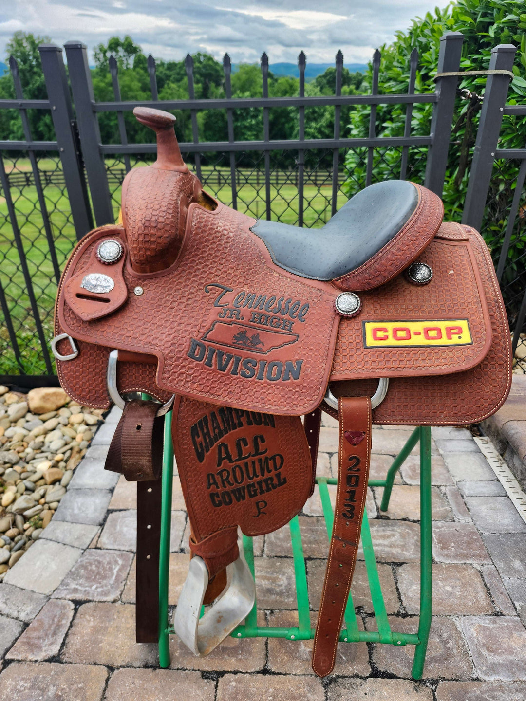 15" 2013 Running P Trophy Roping Saddle Saddle Running P