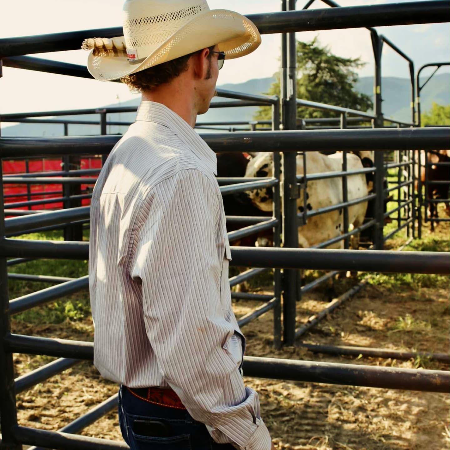 Ariat Men's Hollis Retro Snap Long Fitted Sleeve Shirt Shirt ariatmens Ariat