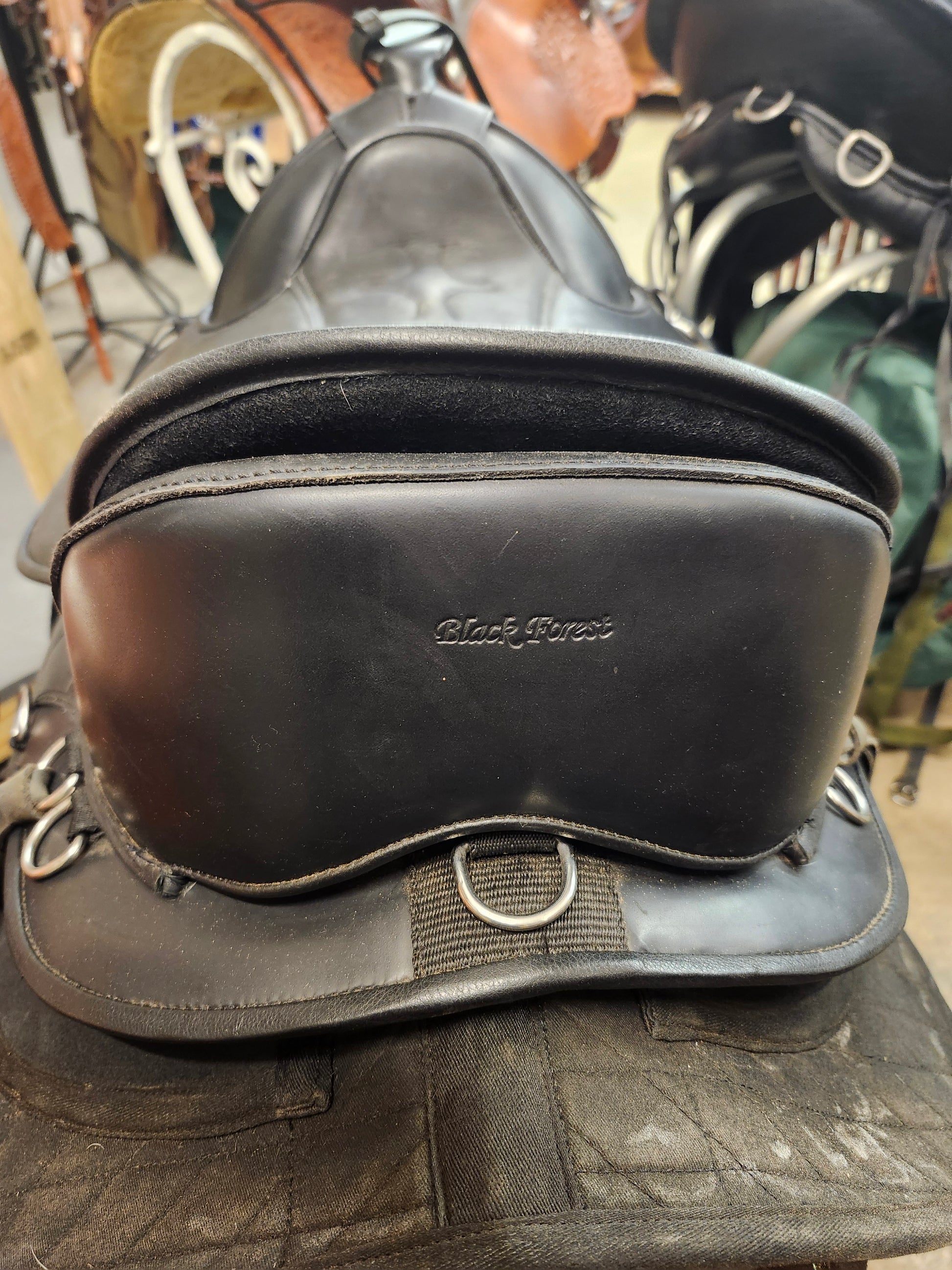 Black Forrest Treeless Endurance/Trail Saddle (used, like new) Double C Western Supply
