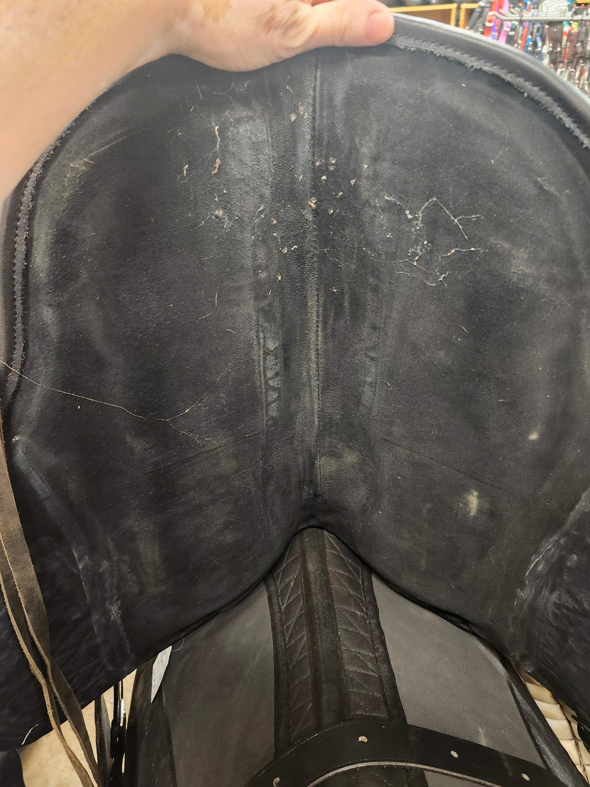 Black Forrest Treeless Endurance/Trail Saddle (used, like new) Double C Western Supply