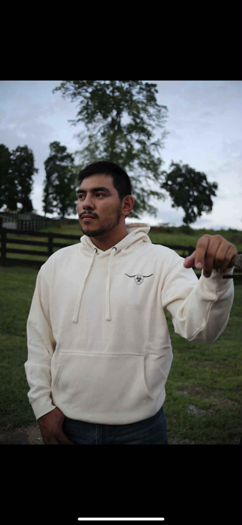 Men's Ariat Shield Steerhead Hoodie Oatmeal - 10062499 Hoodie ariatmens Ariat