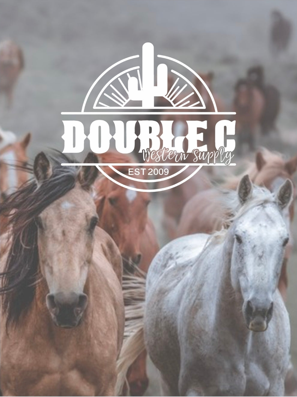 Wild Horses Air Freshener - Cocnut Driftwood Double C Western Supply