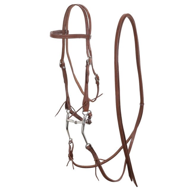 Showman Argentina Cow Leather horse bridle with reins and long shank tom thumb bit - Double C Western SupplyShiloh