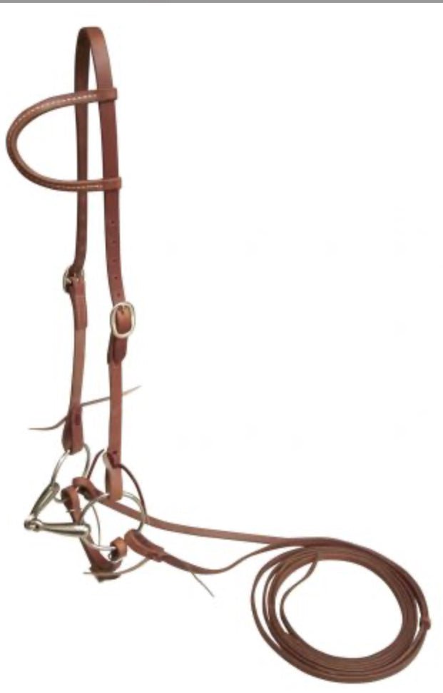 Showman Harness Oiled Leather One Ear Headstall with O-Ring Snaffle and 7ft Reins - Double C Western SupplyShiloh