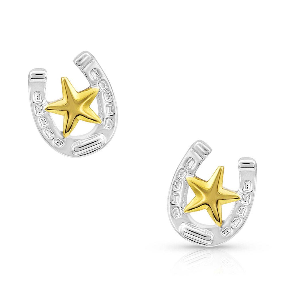 Small Stars &amp; Horseshoe Post Earrings ER803 - Double C Western SupplyMontana Silversmiths