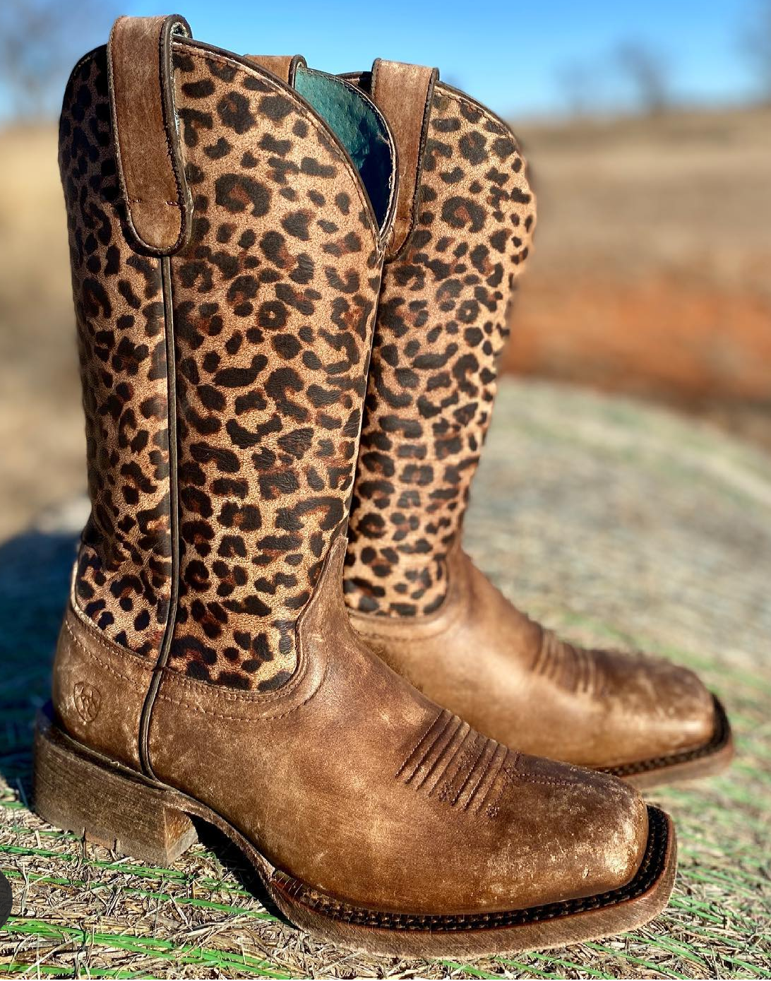 Ariat leopard print best sale boots