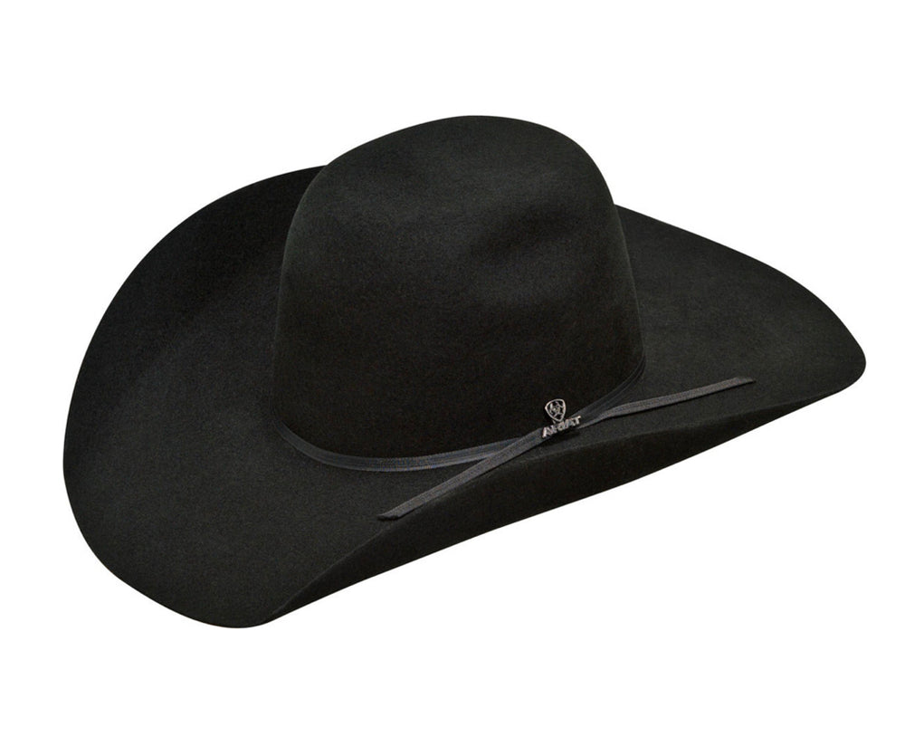 ARIAT 2X WOOL HAT PUNCHY CROWN WESTERN HAT Hats ariat M&F