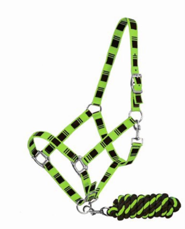 Nylon halter Green Double C Western Supply