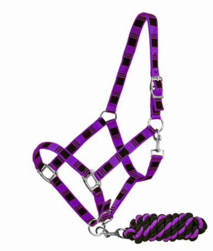 Nylon halter purple Double C Western Supply