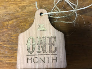 Baby Announcement Monthly Eartag
